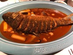 -阿五黄河大鲤鱼(英协路店)