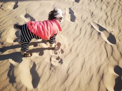 -库伦旗银沙湾旅游景区