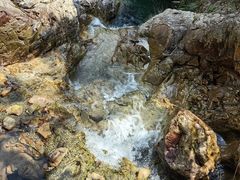 -南海湾森林生态园