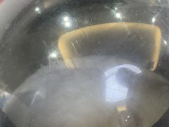 -达爱动物医院·犬猫分区·CT·复杂眼科(远洋山水分院)