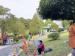 -铁山坪森林公园