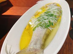 清蒸太湖白鱼-金枝玉叶上海人家食府(三里河店)