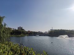 -映月湖公园