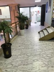 点击看大图 -痘博士广州·全国连锁祛痘机构