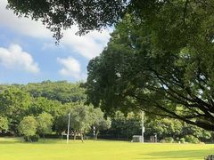 -莲花山公园