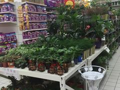 -大润发(张江店)