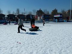 -武清南湖绿博园