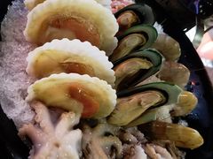 扇贝-丽江庭院之爱在路上(西单店)
