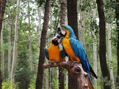 -北京野生动物园