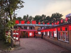-高家小院铁锅炖大鹅(哈西高铁站店)
