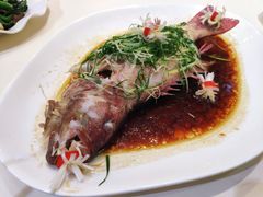 清真东星斑-凤城礼记鱼翅海鲜酒家(新马路总店)