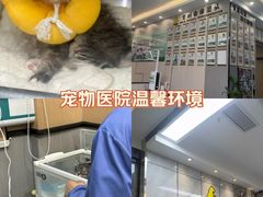-半岛宠物医院24小时(西派城店)