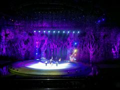 android_upload_pic-灵玲国际马戏城