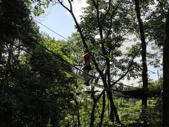 -芦仙山景区-飞越丛林探险乐园