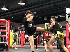 -TFC 纯泰拳馆MuayThai
