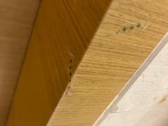 -青岛富力艾美酒店