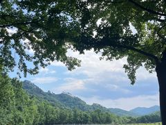 -中国茶叶博物馆(双峰馆区)