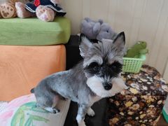 -北京观赏动物医院·24小时大型综合·猫专科·异宠专科