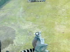 -昆明动物园