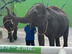 -大连森林动物园