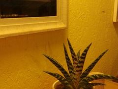 android_upload_pic-旅马餐厅(茅家埠店)