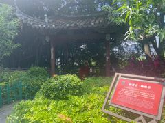 -乌山风景区