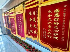 -北京派仕佳德动物医院·超导核磁·CT·神经科·骨科·内外科·急重症管理中心