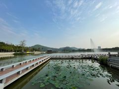 -顺峰山公园