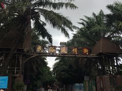 -万绿园