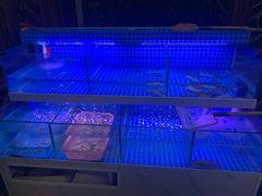 水产区-从前慢海鲜面馆