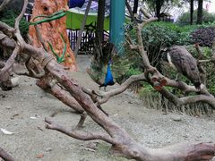 游乐设施-国色天乡三期陆地乐园