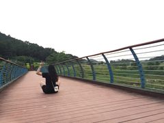 -东莞植物园