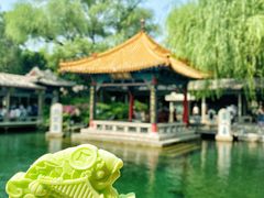 -趵突泉景区