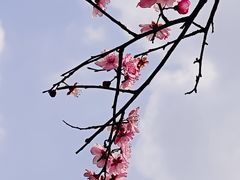 -沐仙湖湿地公园
