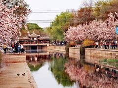 -海棠花溪(元大都城垣遗址公园)