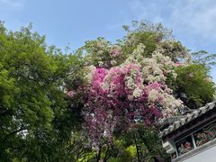 -深圳国际园林花卉博览园