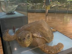 -陕西自然博物馆