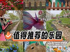 -盈香心动乐园