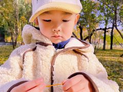 -哈尔滨文化公园