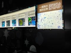 -同济大学四平路校区深海探索馆