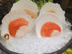 夏威夷扇贝-湊湊火锅·茶憩(打浦桥日月光店)