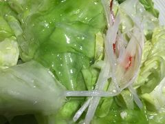 -鸭王烤鸭店(三里河店)