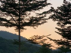 -风云岭森林公园