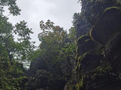 -梭布垭石林景区