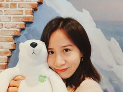 -济州岛泰迪熊博物馆