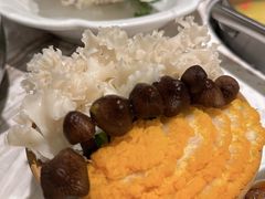 -汤城·料青山