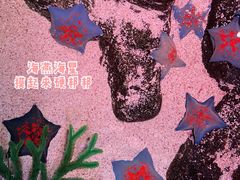 -沈阳海洋探索中心