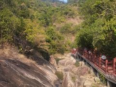 -广州白江湖森林公园