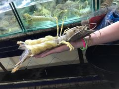 -班赞海鲜市场