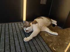 -成都太古里IFS国金中心亚朵X酒店